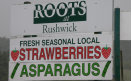 Asparagus Farm Shop Sign