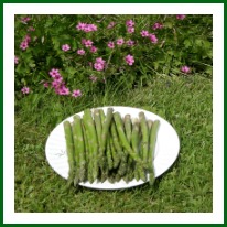 Asparagus with Flowers