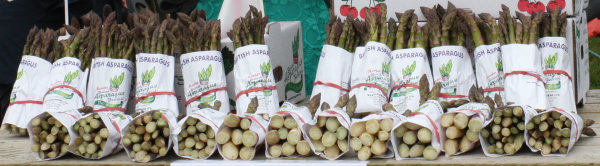 Bundles of fresh asparagus