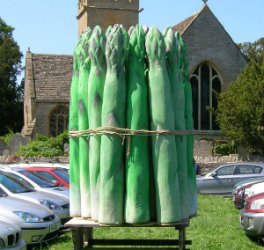 Huge polystyrene asparagus model