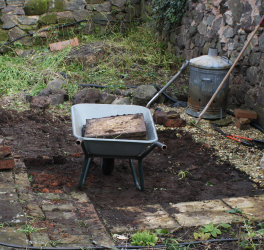 patch of ground we chose for an asparagus bed