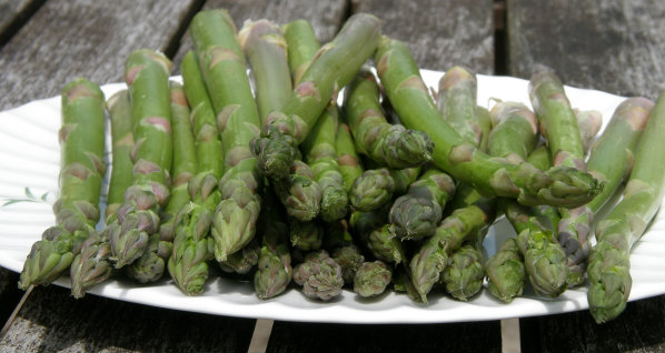 raw asparagus 