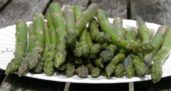 Raw Asparagus spears