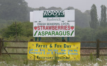 Asparagus on Farm Shop Sign