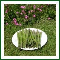 Asparagus with Flowers