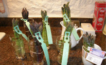 Different Varieties of Asparagus