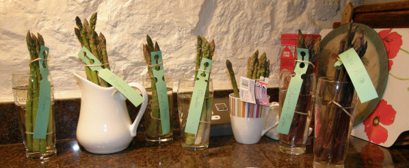 A range of Varieties of Asparagus for tasting